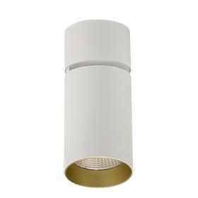DL300050  Eos A 20; 20W White & Gold Surface LED Spotlight 1660lm 40° 5000K IP20